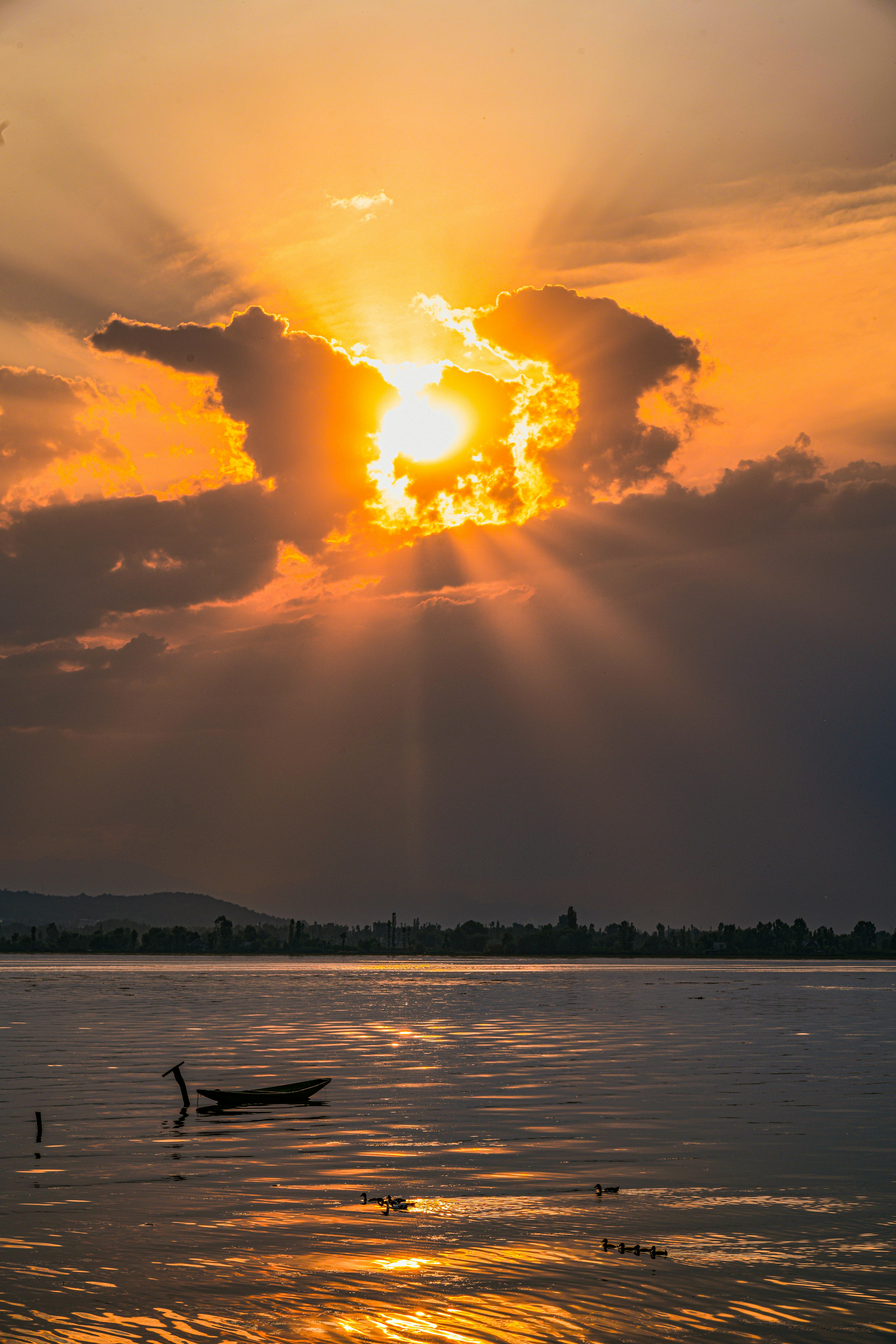 Kashmir Essentials Tour